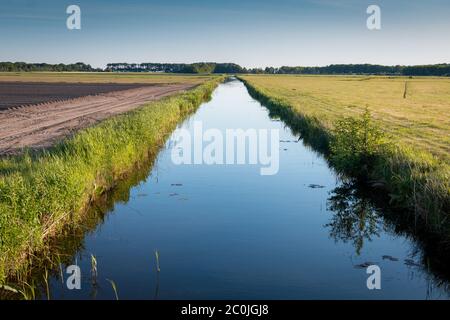 Pays-Bas un pays humide plein de fossés et de canaux, de voiliers et de vastes plaines avec des prairies, photos prises dans la région de Frise Gaasterland Banque D'Images