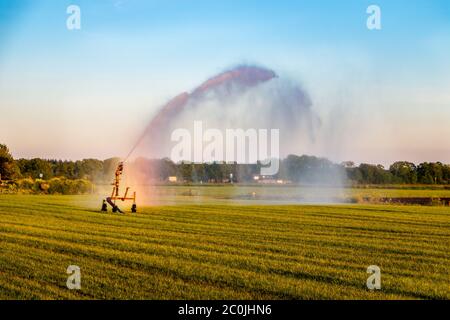 L'agriculteur pulvérise de l'eau dans l'herbe en période de sécheresse aux pays-Bas, dans la province de Frise, près du village de Harich Banque D'Images