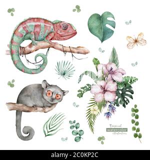 Caméléon Lizard et souris Lemur faune avec fleurs tropicales dessin main aquarelle illustration isolée sur fond blanc Banque D'Images