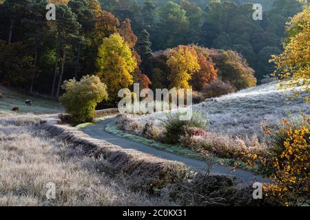 Un matin d'automne glacial à Beresford Dale, Dove Valley, Peak District National Park, Staffordshire, Angleterre Banque D'Images