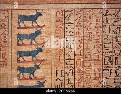 Livre égyptien antique des papyrus morts - de la tombe de Kha, Tombeau de Theban 8 , milieu de la 18e dynastie (1550 à 1292 av. J.-C.), Musée égyptien de Turin. Banque D'Images