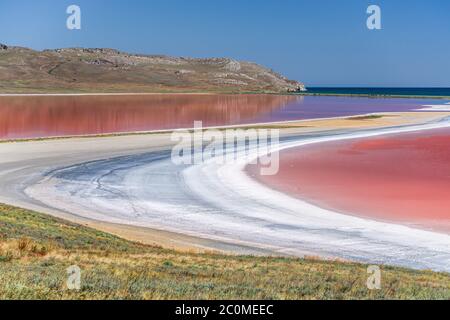 Lac salé rose Koyash en été, cap Opuk Kerch Crimée Banque D'Images