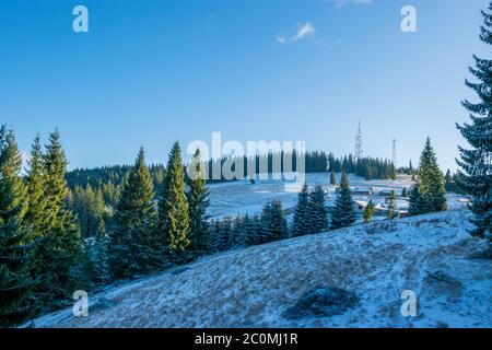 Le paysage des montagnes Rodnei et Calimani, Vatra Dornei, Roumanie Banque D'Images