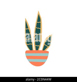 Sansevieria, plante de serpent dans un vecteur isolé de pot Illustration de Vecteur