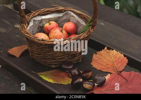 Pommes et châtaignes dans la table de jardin Banque D'Images