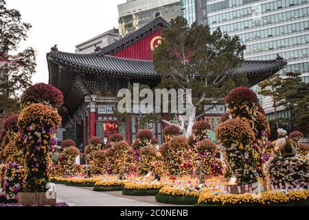 Décorations florales au magnifique temple Jogyesa à Séoul en Corée du Sud Banque D'Images