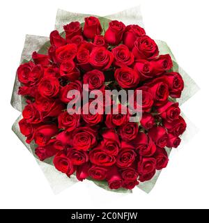 Roses rouge isolé sur fond blanc Banque D'Images