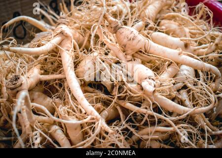 Pile de racines de ginseng fraîches et saines vendues sur un marché de rue en Asie Banque D'Images