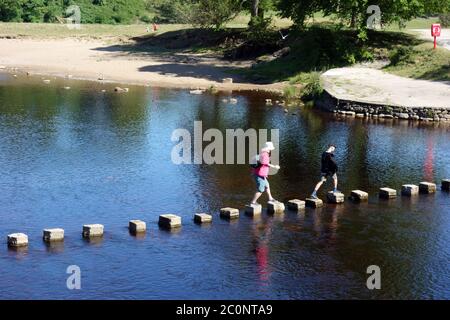 Mother & son à pied sur des pierres sur la rivière Wharfe, à côté des ruines du Prieuré de Bolton, Wharfedale, parc national de Yorkshire Dales, Angleterre. Banque D'Images