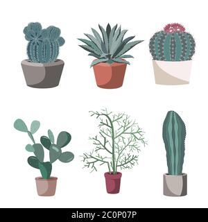 Succulent et cactus dans les pots de fleurs. Pion, tirupalli, agave. Plantes en pot isolées sur une illustration blanche, à vecteur plat Illustration de Vecteur