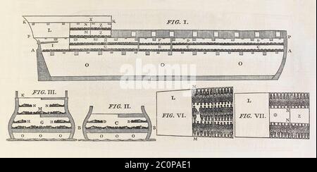 Section du navire esclave Brookes destinée à montrer les souffrances des esclaves africains transportés dans le passage du Moyen-Orient pendant le commerce transatlantique des esclaves. Cette célèbre illustration publiée en 1787 a été largement diffusée et a fait beaucoup pour faire progresser la cause abolitionniste en montrant l'inhumanité de la traite des esclaves. Banque D'Images