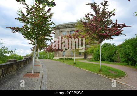Weimar Allemagne le Goethe et Schiller archive bâtiment avec des arbres en fleurs au printemps Banque D'Images