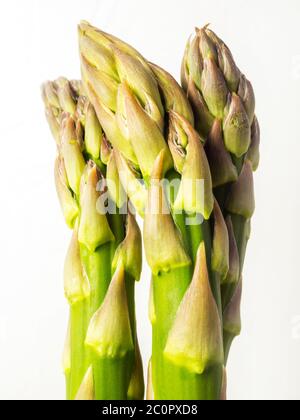 Trois asperges fraîches sur fond blanc Banque D'Images
