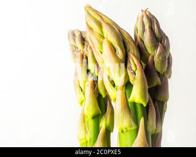 Trois asperges fraîches sur fond blanc Banque D'Images