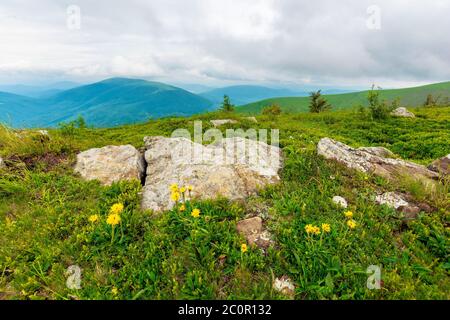 rochers sur la colline alpine. vue depuis le bord d'une colline. magnifique paysage d'été en montagne. temps venteux couvert avec nuages gris sur le th Banque D'Images