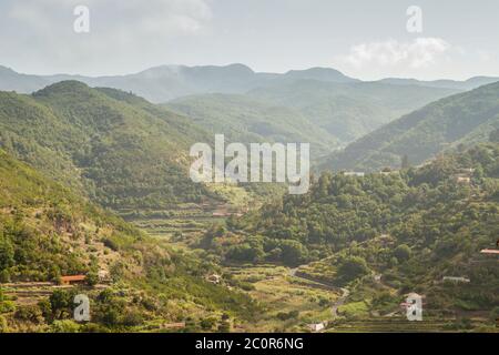 Paysage vert à la Gomera, îles Canaries, Espagne Banque D'Images