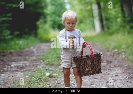 Adorable enfant, petit garçon cueillant des champignons dans un panier, fonctionnant heureusement en forêt Banque D'Images