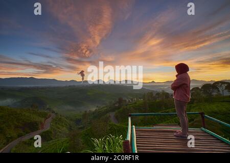 Jeune femme voyageur profitant d'un lever de soleil spectaculaire sur une plantation de thé à South Bandung, Indonésie Banque D'Images