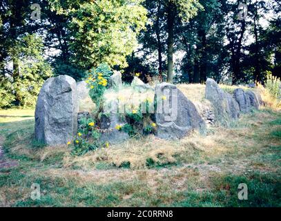 dolmen préhistorique, hunebed en néerlandais; à Schimmeresch, Emmen, Hollande, pays-Bas. Un tel dolmen est appelé en néerlandais un Langgraf, ce qui signifie long gr Banque D'Images