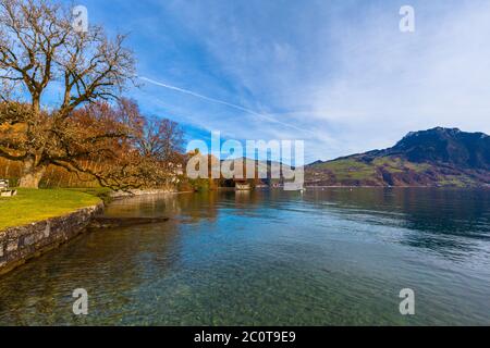 Vue imprenable sur le lac Thun et les Alpes en automne sur le bord du lac à Spiez, canton de Berne, Suisse Banque D'Images