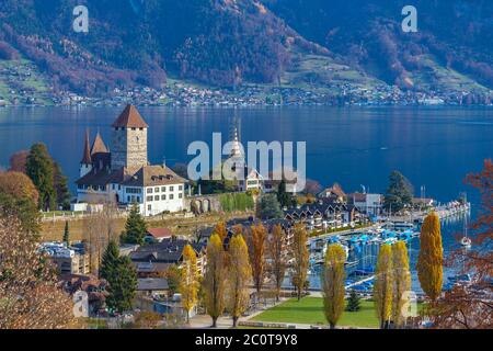 Vue aérienne de la ville de Spiez en automne avec le château sur le côté du lac Thoune et les Alpes en arrière-plan, sur l'Oberland bernois, canton de Berne, Swit Banque D'Images