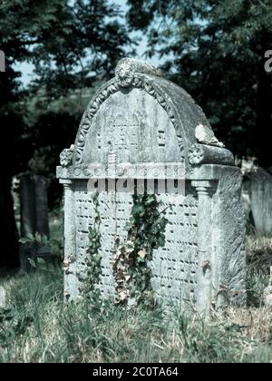 Vieilles pierres tombales dans le cimetière juif, Mikulov, République tchèque, image de ton froid Banque D'Images