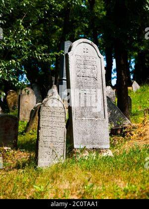 Pierres à tête typiques dans l'ancien cimetière juif Banque D'Images