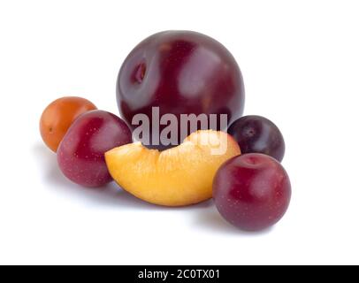 Plusieurs variétés de prunes isolées sur fond blanc Banque D'Images