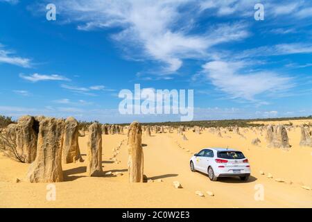 Voiture sur une route de terre à travers les Pinnacles, parc national de Nambung, Cervantes, Australie occidentale, Australie Banque D'Images