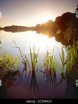 Channel Islands. Guernesey. Saint Sauveur. Réservoir au coucher du soleil. Banque D'Images