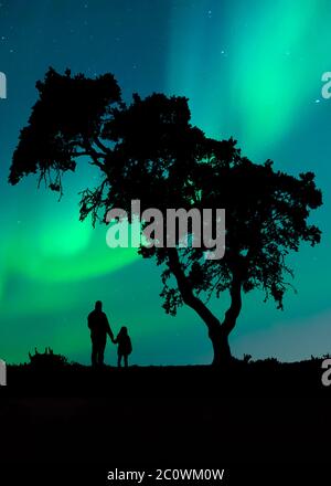 Silhouette d'un homme tenant la main de sa fille en profitant des lumières du nord sous un arbre dans le ciel nocturne Banque D'Images