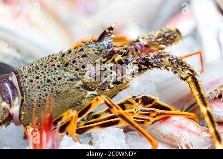 Poisson sur le comptoir dans le marché de poisson Banque D'Images