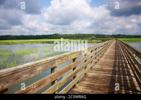 Huntington Beach State Park, Caroline du Sud, États-Unis. Vue depuis la promenade en bois sur le vaste marais salé. Paysage avec ciel bleu nuageux réfléchi Banque D'Images