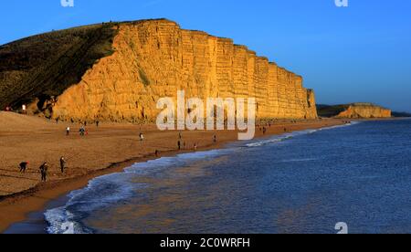 La falaise de grès est, sur la côte jurassique à West Bay, Dorset, Royaume-Uni. Rendu célèbre par la série télévisée Broadchurch Banque D'Images