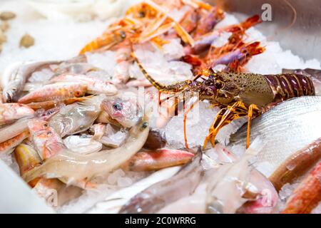 Poisson sur le comptoir dans le marché de poisson Banque D'Images