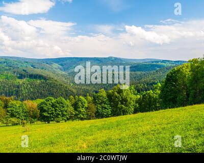 Magnifique paysage de montagne d'été avec des prairies verdoyantes et une forêt et ciel bleu avec des nuages blancs. Banque D'Images