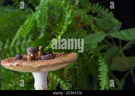 Mouche agaric (Amanita muscaria) table de temps de thé dans la végétation Banque D'Images