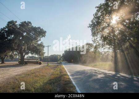 Etats-Unis, Louisiane, Jefferson Parish, Lafayette, route locale et autobus scolaire près du lac Martin Banque D'Images