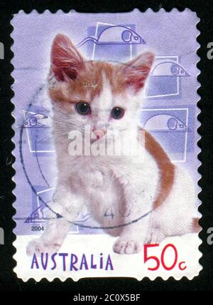 AUSTRALIE - VERS 2004 : timbre imprimé par l'Australie, montre chaton, vers 2004 Banque D'Images