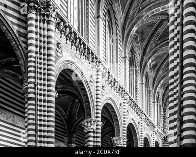 Intérieur de la cathédrale Santa Maria Assunta, Sienne, Italie Banque D'Images