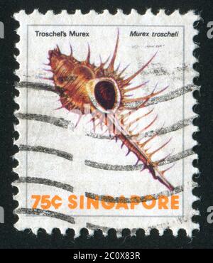 SINGAPOUR - VERS 1978 : le murex est un genre d'escargots marins tropicaux prédateurs de taille moyenne à grande, vers 1978. Banque D'Images