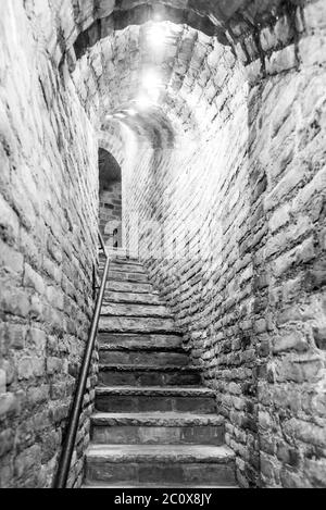 Escalier étroit dans une ancienne cave avec murs en briques. Image en noir et blanc. Banque D'Images