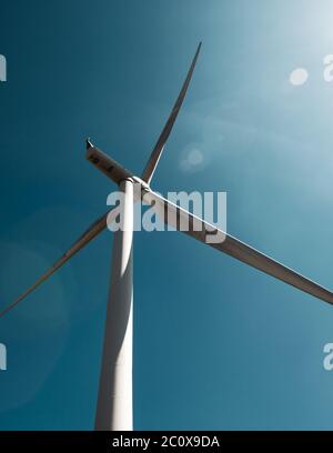 Éolienne sur le parc éolien de Whitelee, en Écosse, contre un ciel bleu profond avec une lumière solaire. Banque D'Images