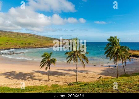 Plage d'Anakena avec ses palmiers, plage de sable turquoise sur l'île de Pâques (Rapa Nui), Océan Pacifique, Chili. Banque D'Images