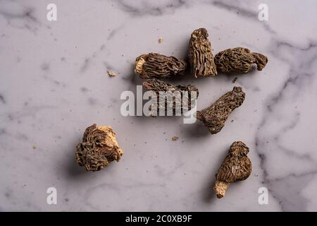 champignons morel sur fond blanc Banque D'Images