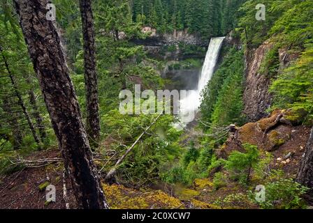 Parc provincial Brandywine Falls, C.-B., Canada Banque D'Images