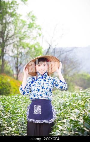 Belle fille asiatique dans la plantation de thé Banque D'Images