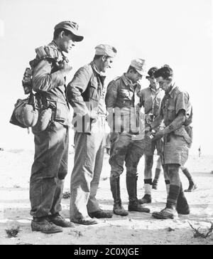 Prisonniers allemands, membres de la division allemande de crack, le 90e Dive léger, fouillés après avoir été capturés au sud d'El Alamein, Egypte, photographie officielle britannique, 1942 Banque D'Images