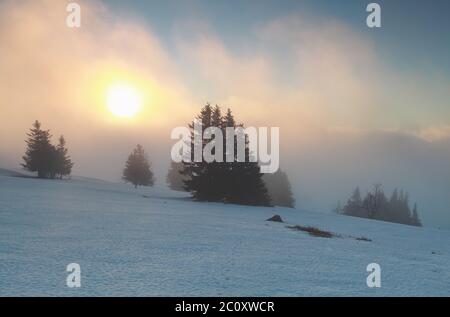 Lever de soleil d'hiver brumeux sur la montagne Feldberg Banque D'Images