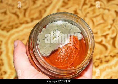 Moisissure poussant sur la pâte de tomate. Gros plan Banque D'Images